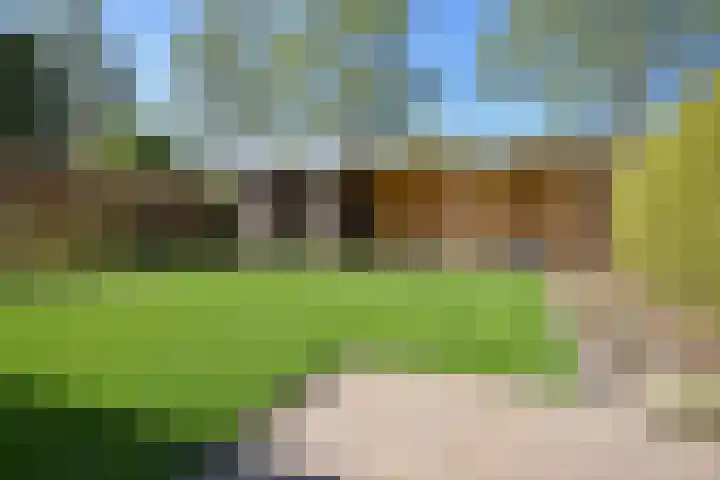 Rhala 10 Burgum thumbnail 7