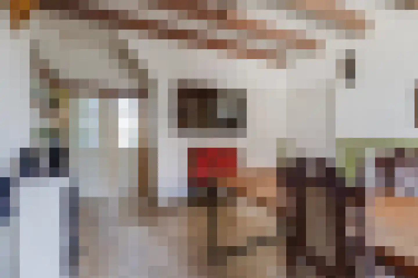 Rheastraat 11 Tolkamer thumbnail 12