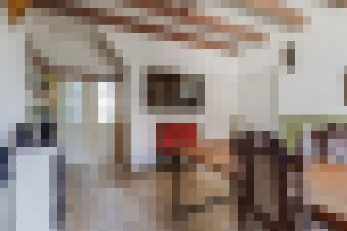 Rheastraat 11 Tolkamer thumbnail 12