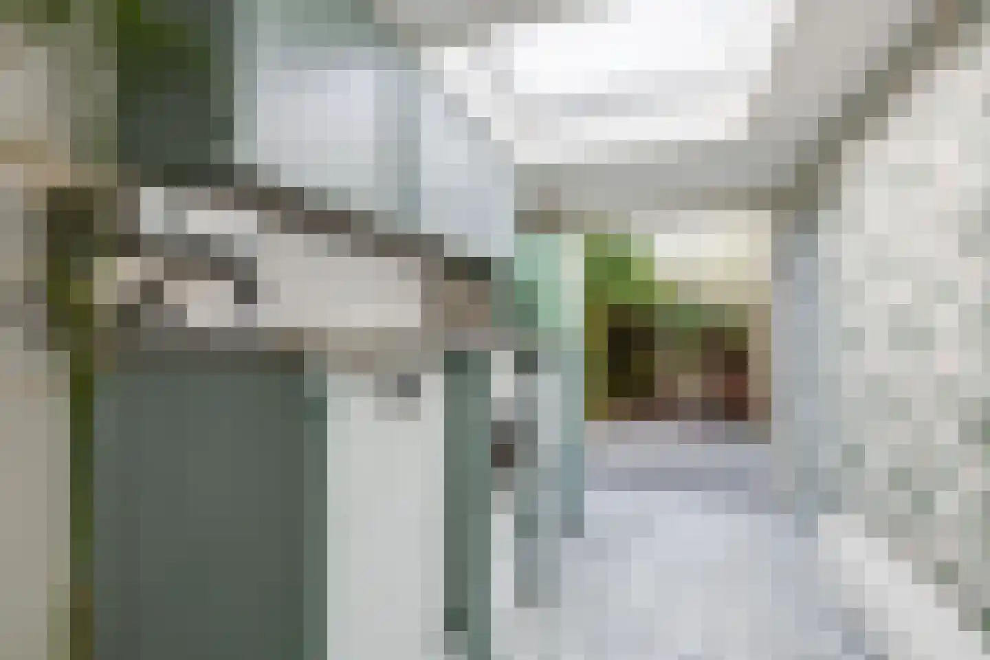 Rheastraat 11 Tolkamer thumbnail 24