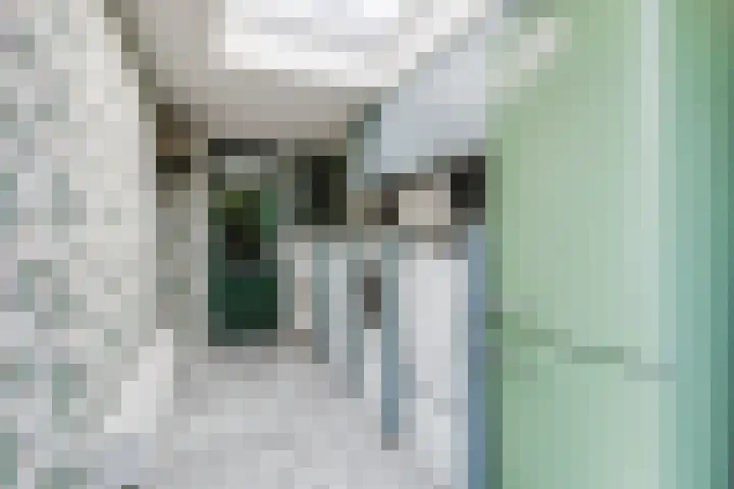 Rheastraat 11 Tolkamer thumbnail 26