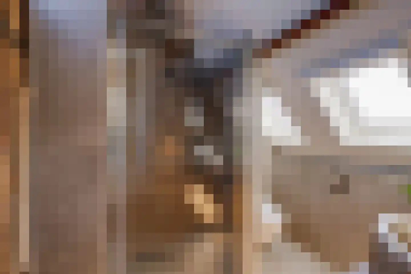 Rheastraat 11 Tolkamer thumbnail 38
