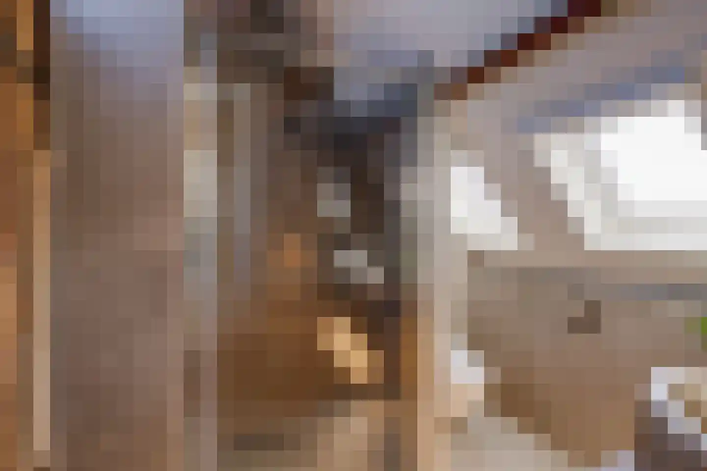 Rheastraat 11 Tolkamer thumbnail 38