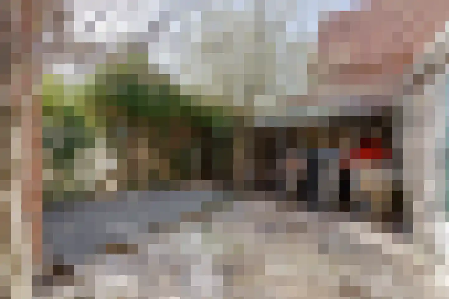 Rheastraat 11 Tolkamer thumbnail 48