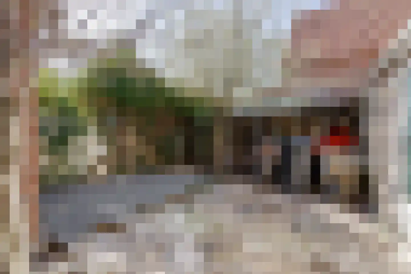 Rheastraat 11 Tolkamer thumbnail 48