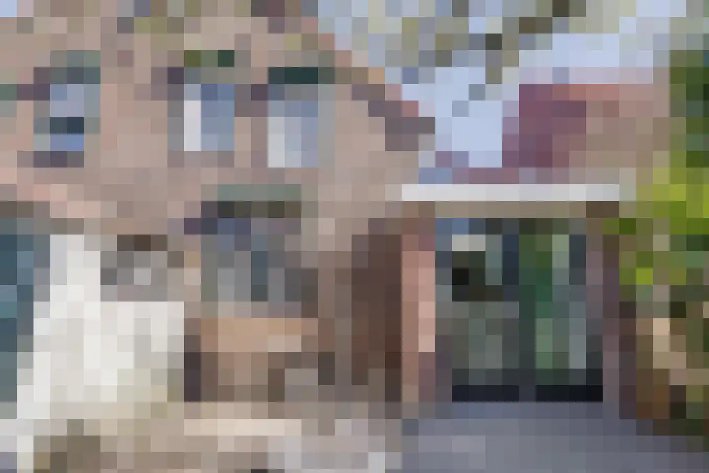 Rheastraat 11 Tolkamer thumbnail 52