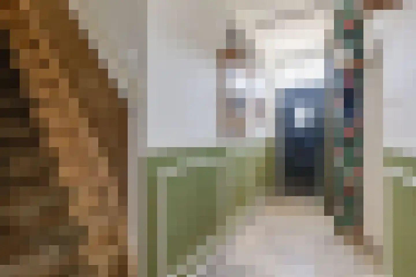 Rheastraat 11 Tolkamer thumbnail 8