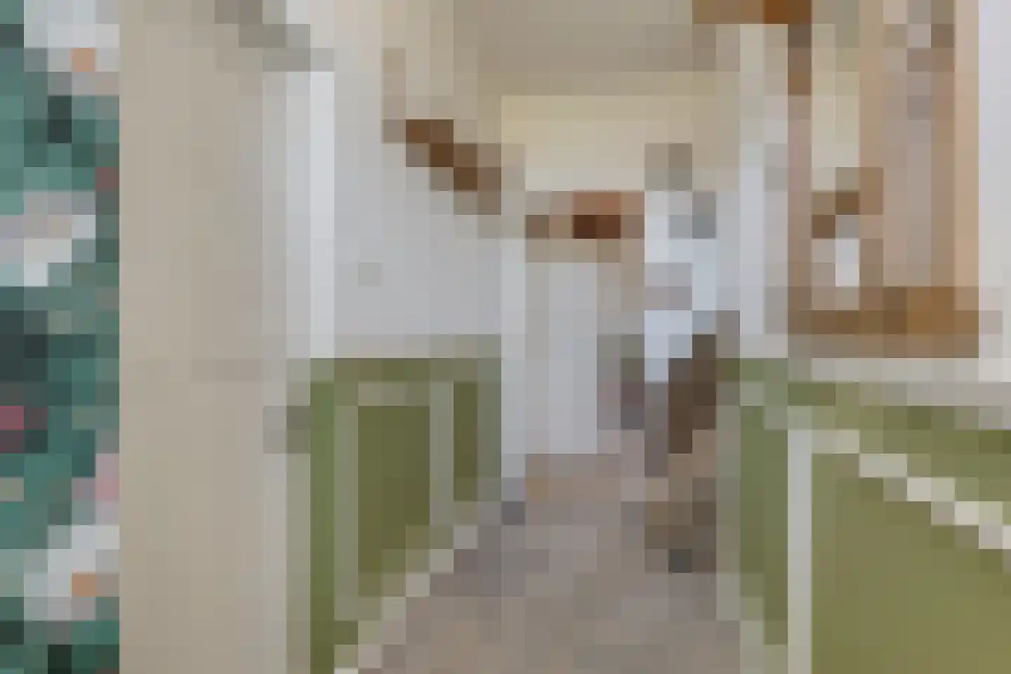 Rheastraat 11 Tolkamer thumbnail 9