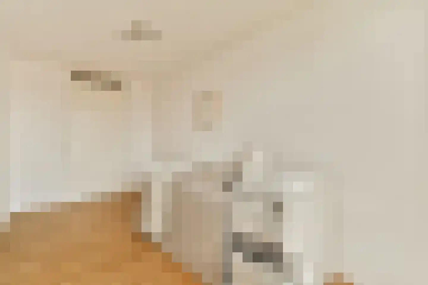 Rheastraat 24 Amsterdam thumbnail 11