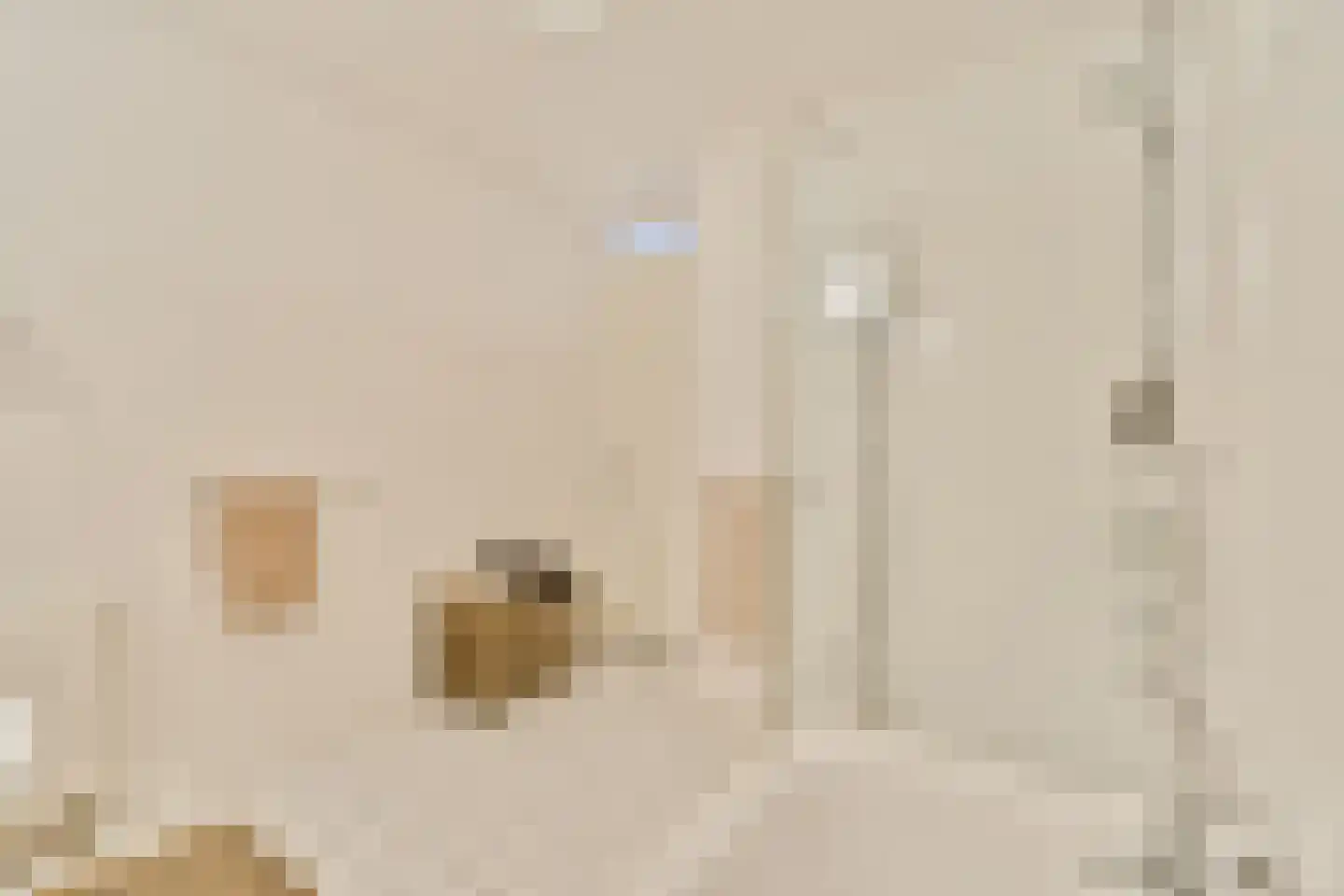 Rheastraat 24 Amsterdam thumbnail 13
