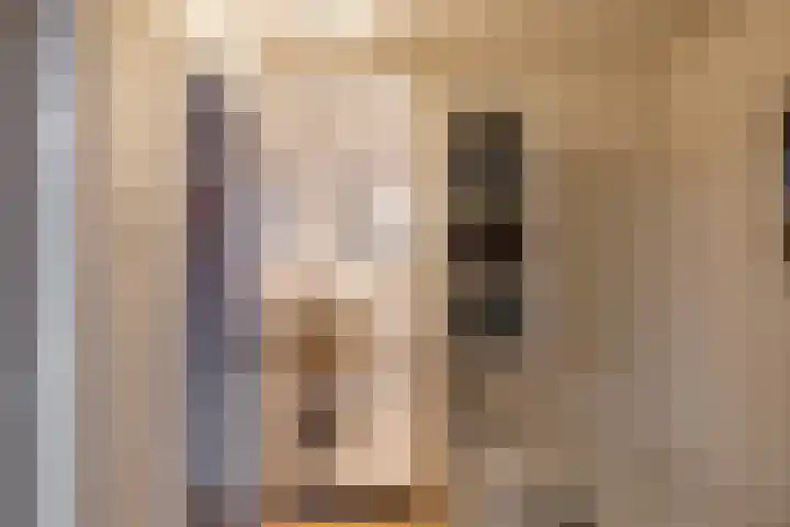 Rheastraat 4 Delfzijl thumbnail 16