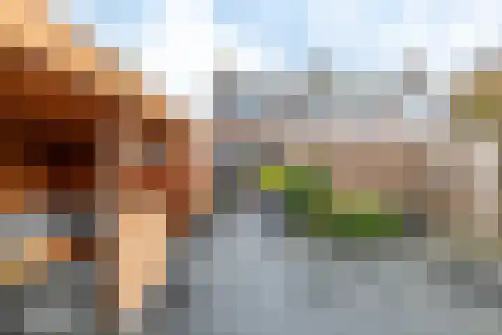 Rheastraat 4 Delfzijl thumbnail 32