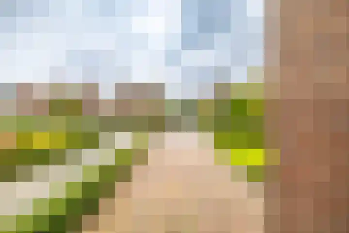 Rheastraat 4 Delfzijl thumbnail 35
