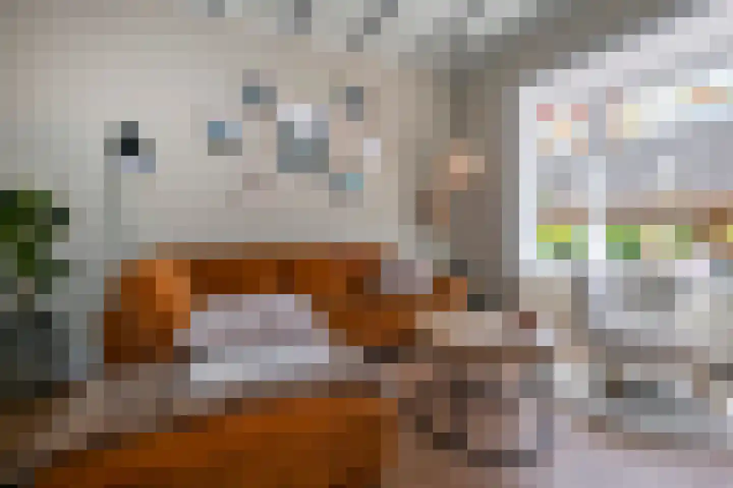 Rhebruggenstraat 8 Assen thumbnail 18