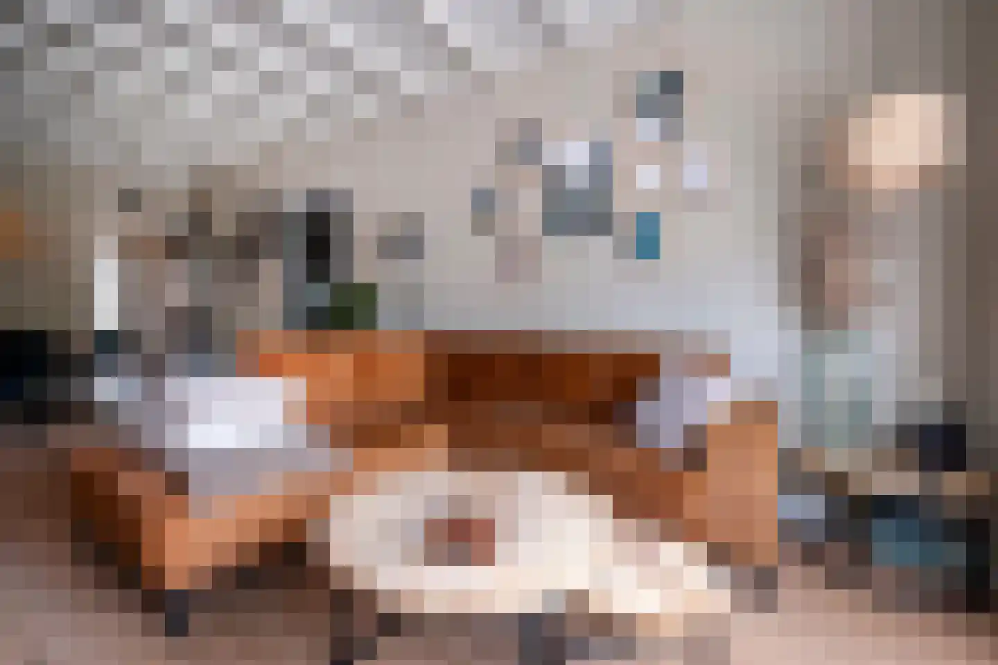 Rhebruggenstraat 8 Assen thumbnail 20