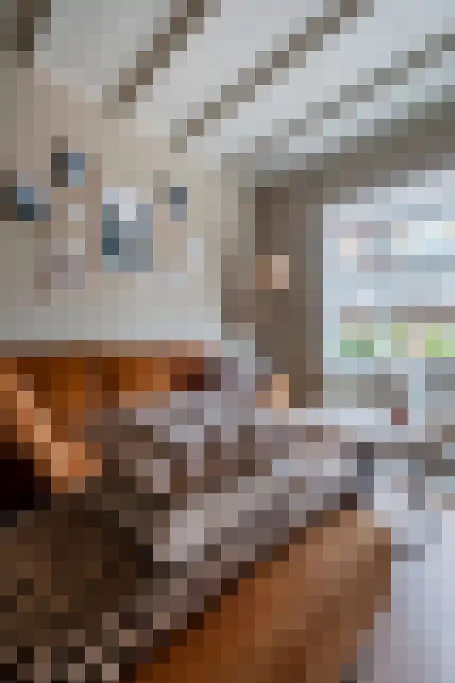 Rhebruggenstraat 8 Assen thumbnail 23