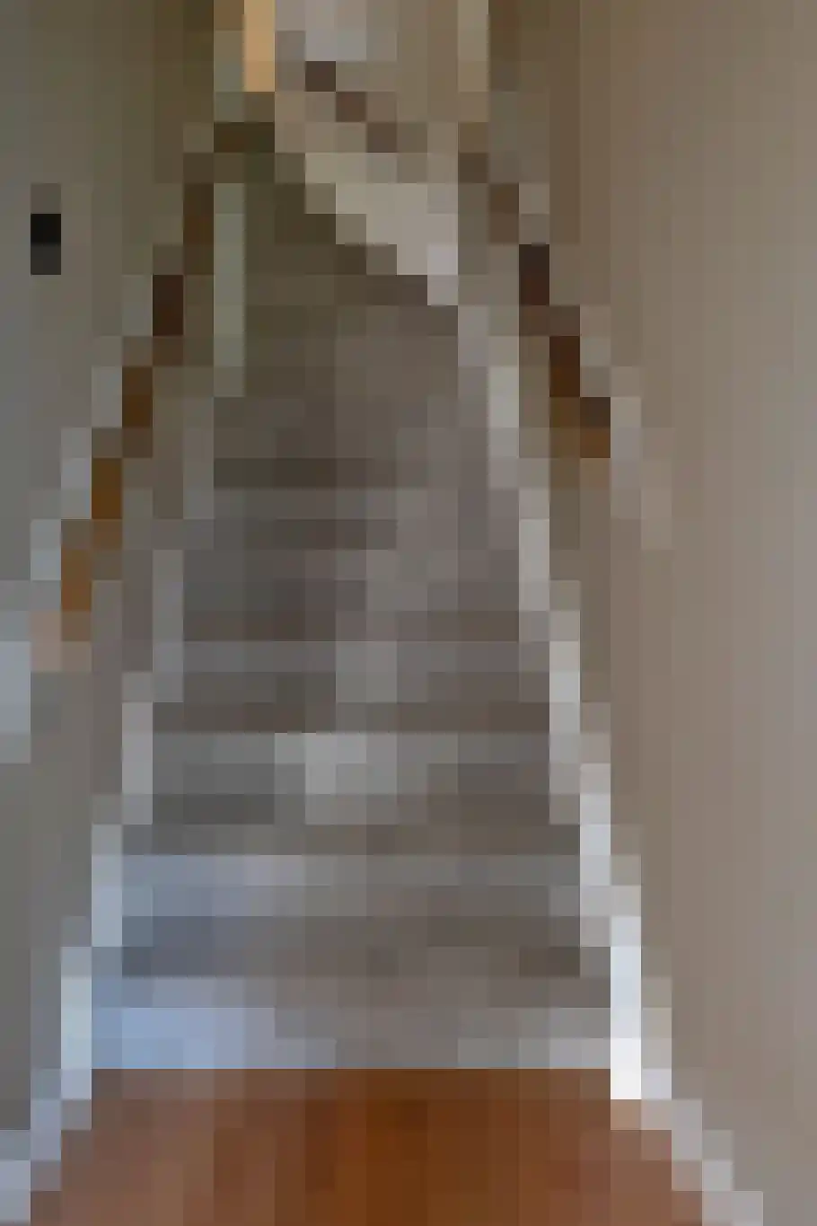 Rhebruggenstraat 8 Assen thumbnail 33
