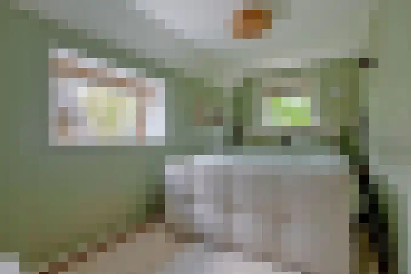 Rhebruggenstraat 8 Assen thumbnail 36