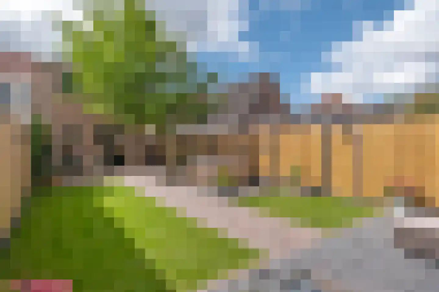 Rhebruggenstraat 8 Assen thumbnail 52