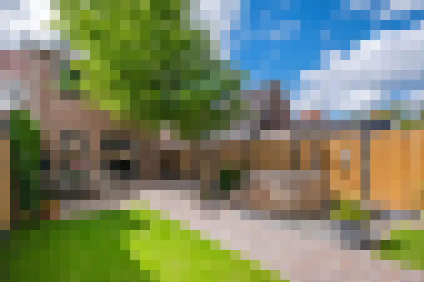Rhebruggenstraat 8 Assen thumbnail 56