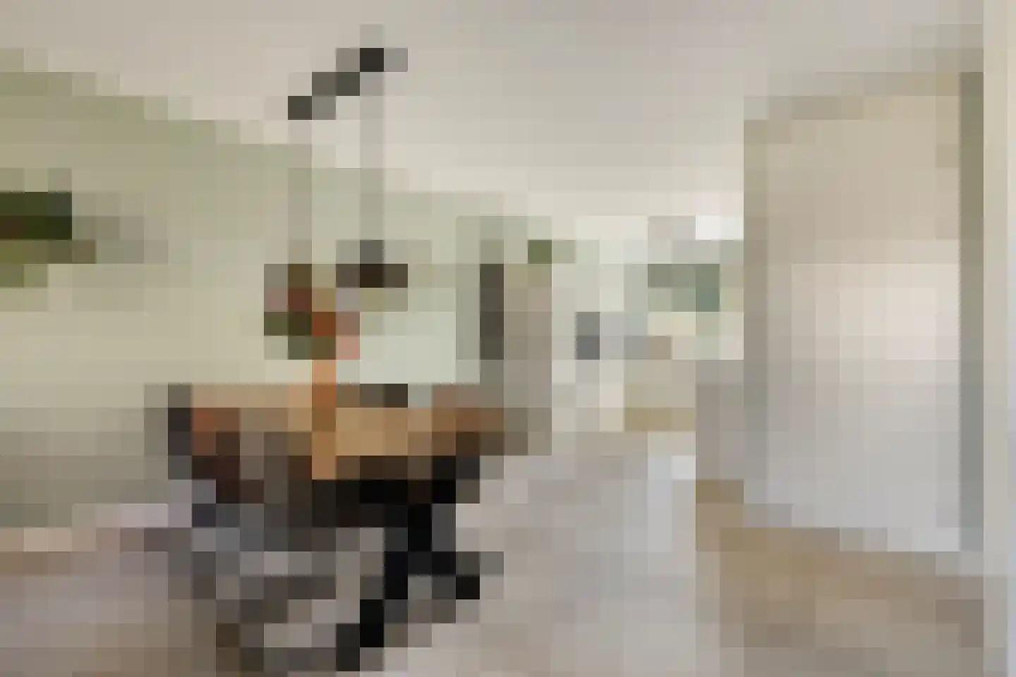 Rhedenstraat 6 Tilburg thumbnail 18