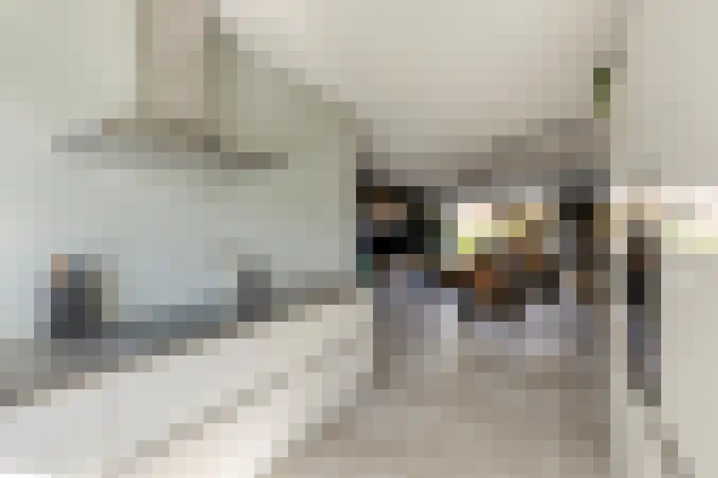 Rhedenstraat 6 Tilburg thumbnail 25