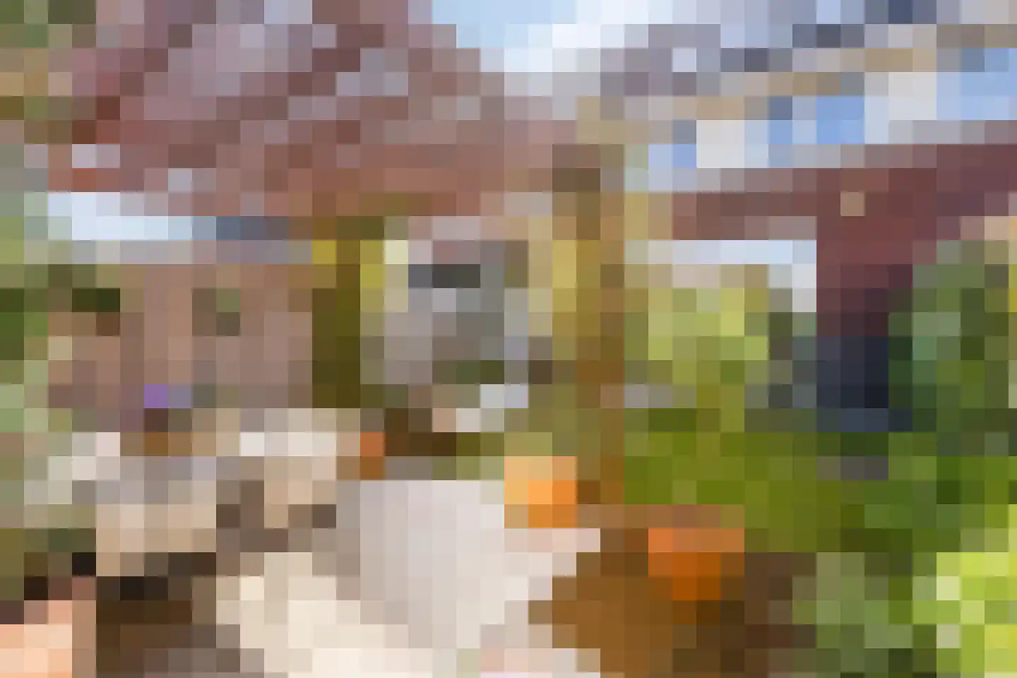 Rhedenstraat 6 Tilburg thumbnail 49