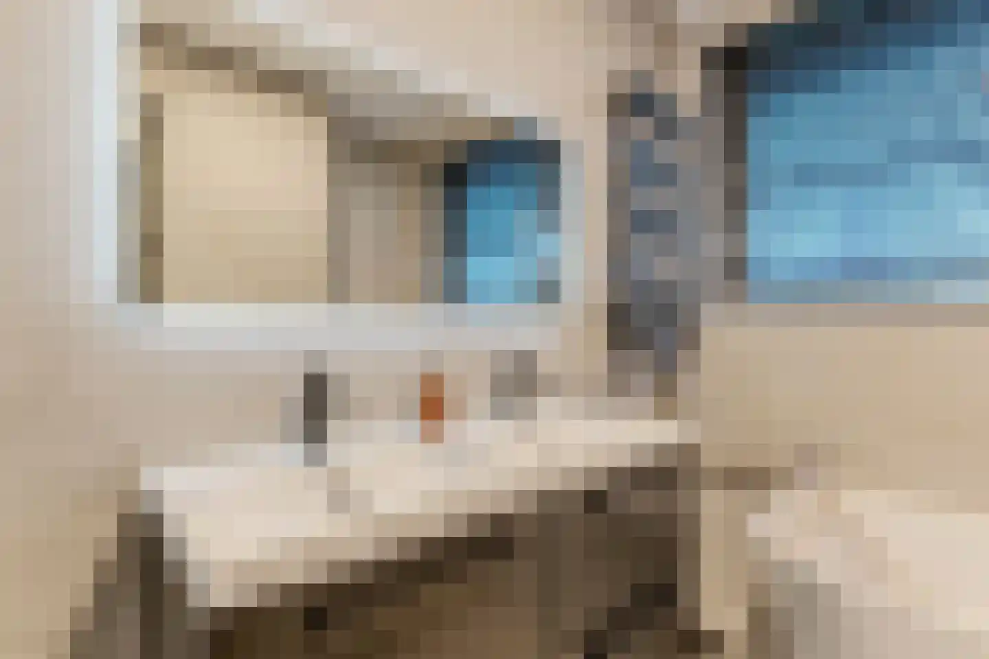 Rhedenstraat 8 Tilburg thumbnail 23
