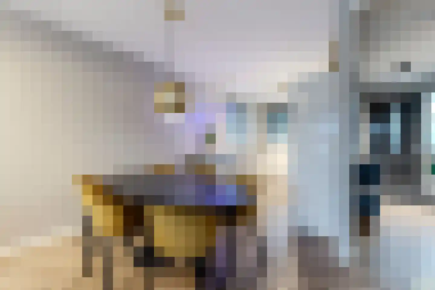 Rhedenstraat 8 Tilburg thumbnail 8