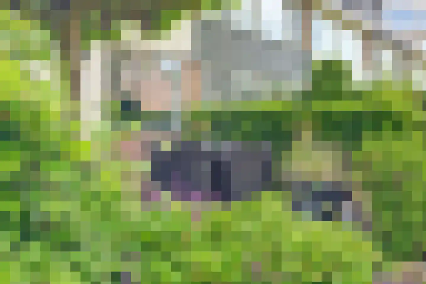 Rhederoord 104 Rotterdam thumbnail 37
