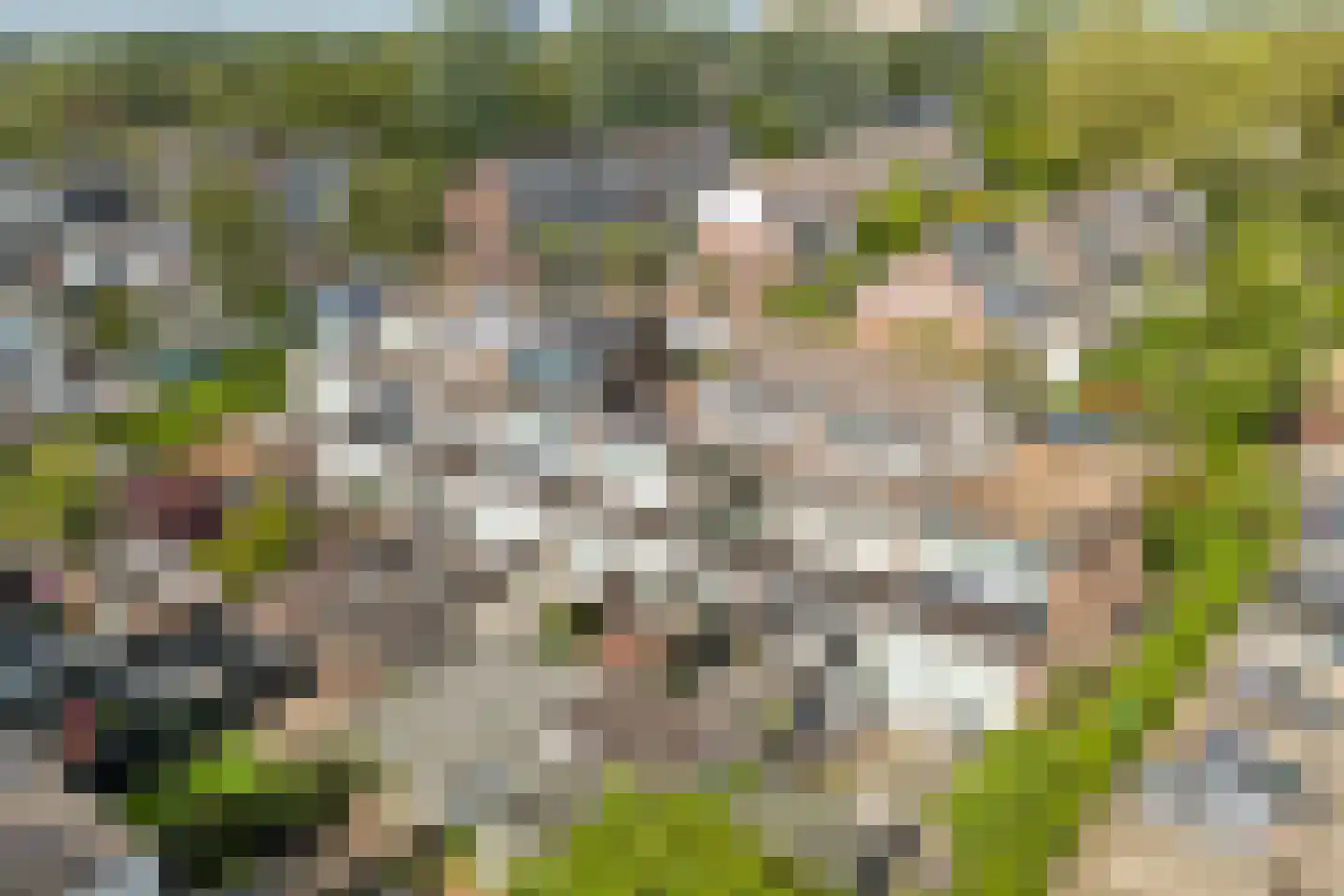 Rhederoord 104 Rotterdam thumbnail 41