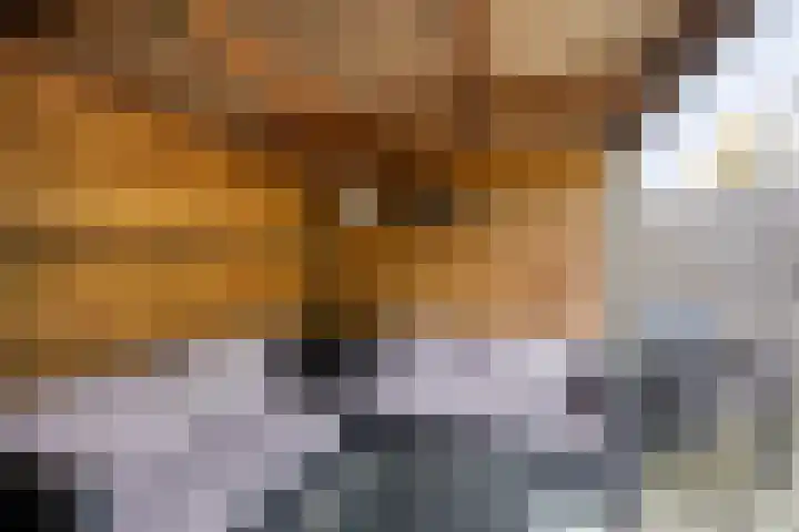 Rhederoord 108 Rotterdam thumbnail 11