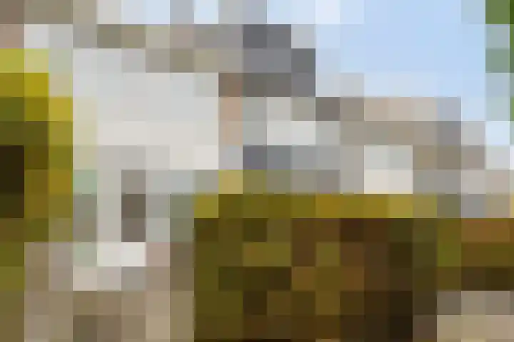 Rhederoord 108 Rotterdam thumbnail 21