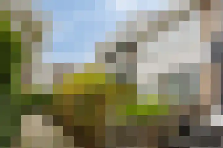 Rhederoord 108 Rotterdam thumbnail 22