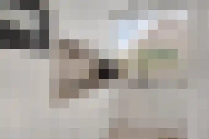 Rhederoord 108 Rotterdam thumbnail 7