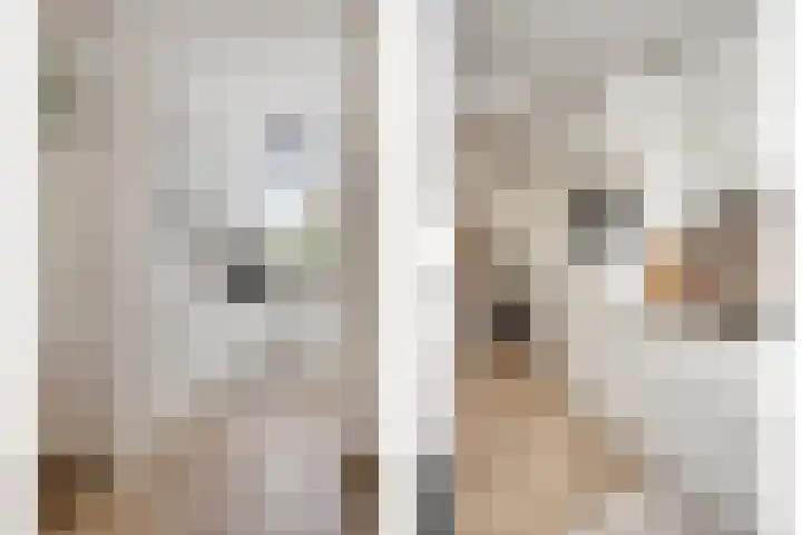 Rhederoord 108 Rotterdam thumbnail 8