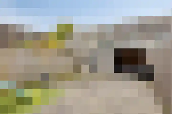 Rhederoord 108 Rotterdam thumbnail 9