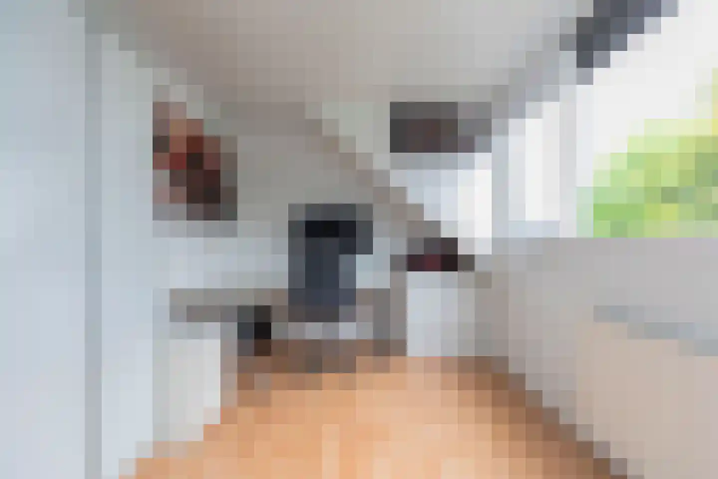 Rhederoord 16 Rotterdam thumbnail 22