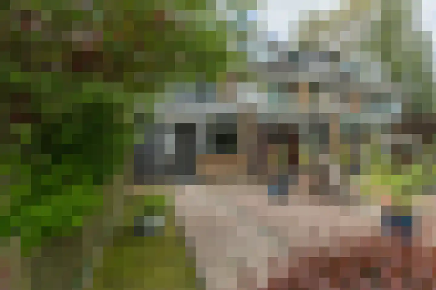 Rhederoord 16 Rotterdam thumbnail 33