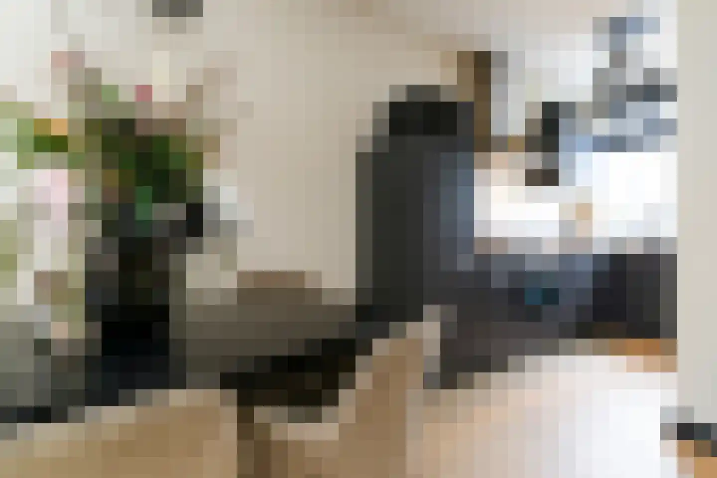 Rhederoord 29 Rotterdam thumbnail 13