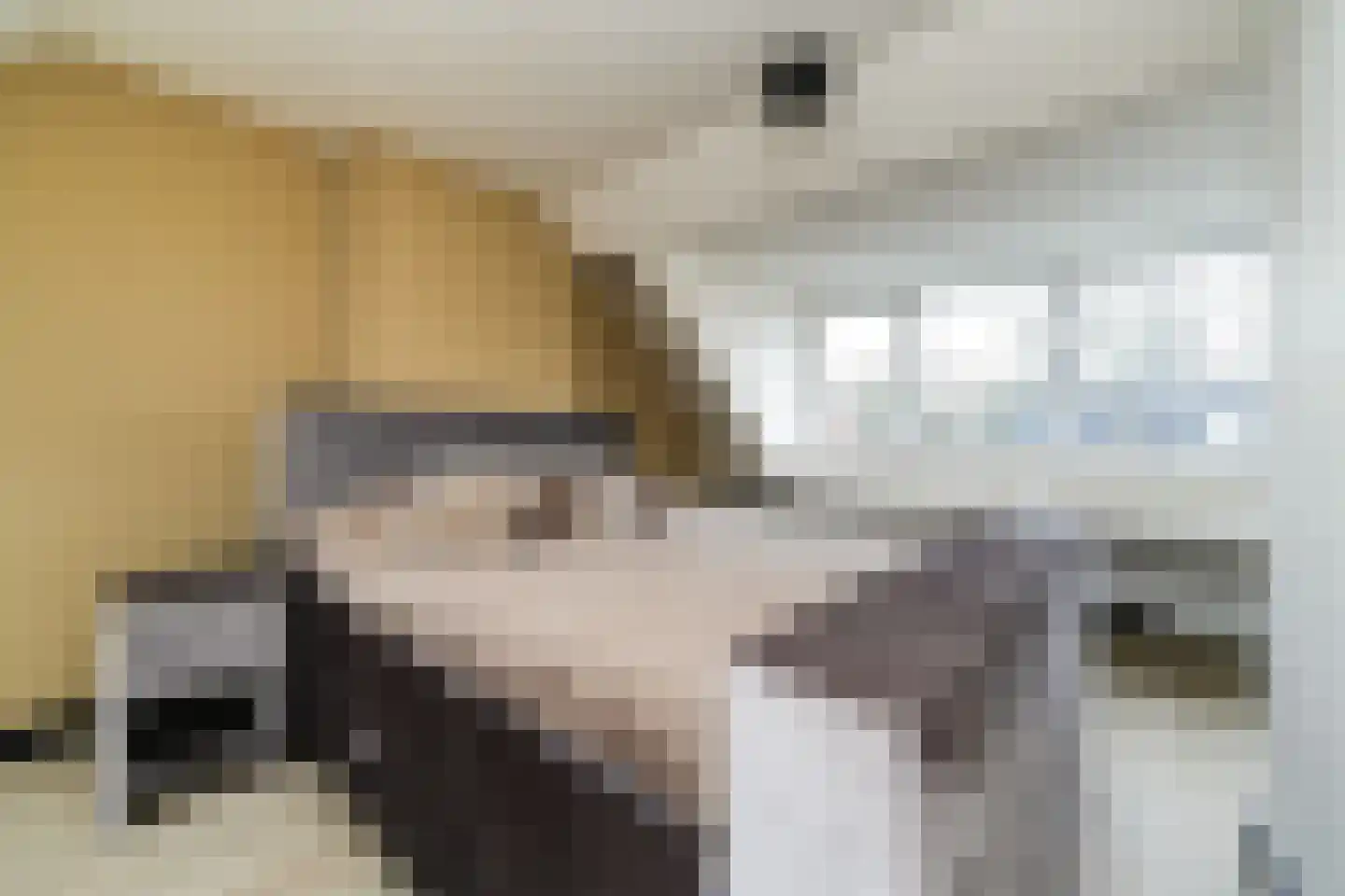 Rhederoord 29 Rotterdam thumbnail 4