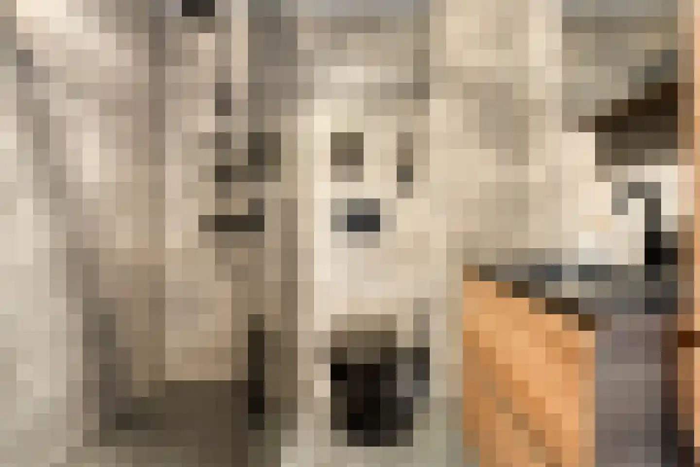 Rhederoord 72 Rotterdam thumbnail 17