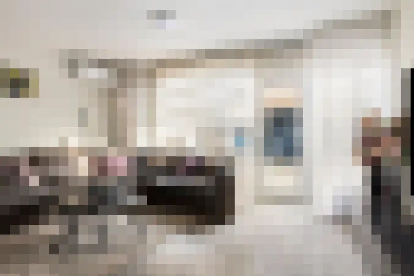 Rhederoord 92 Rotterdam thumbnail 5