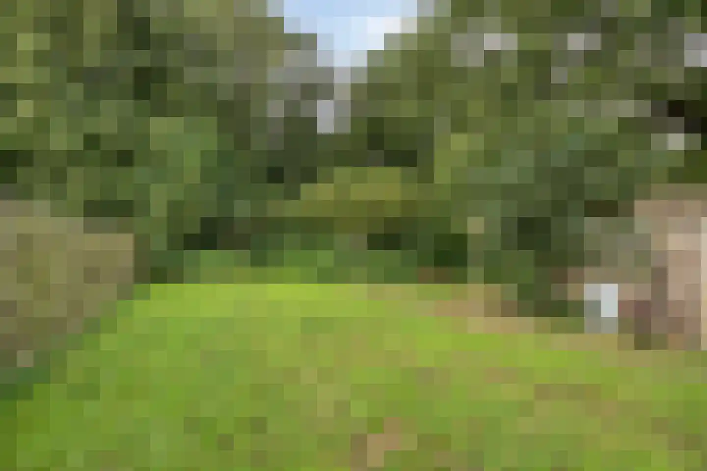 Rhederweg 150 Bellingwolde thumbnail 31