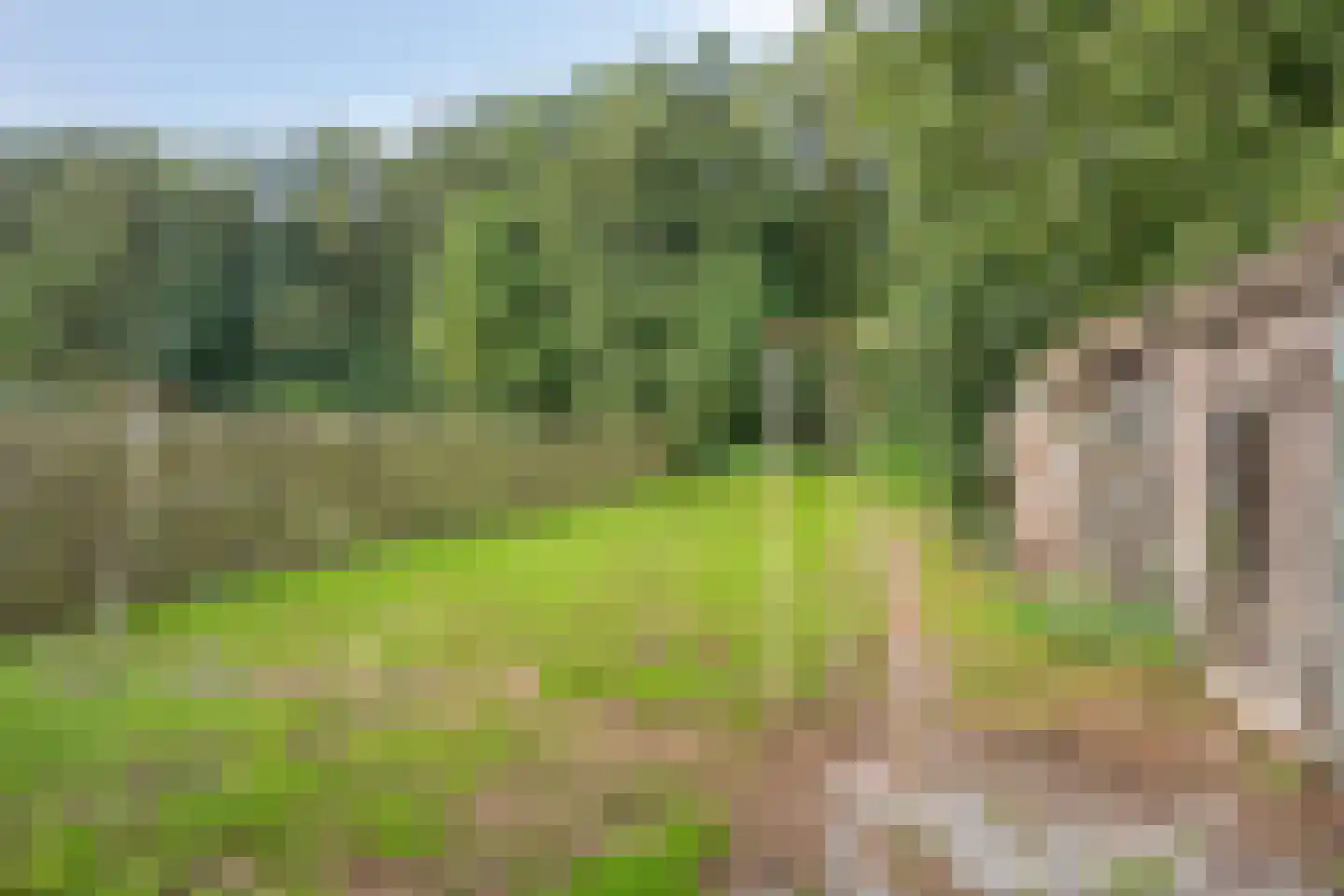 Rhederweg 150 Bellingwolde thumbnail 32