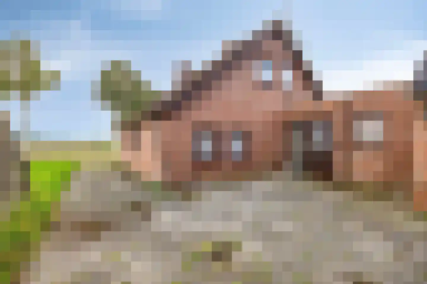Rhederweg 150 Bellingwolde thumbnail 8