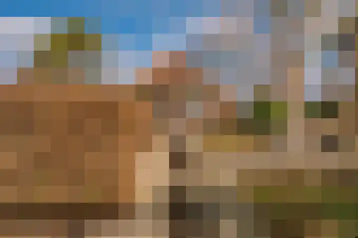 Rhederweg 198 Bellingwolde thumbnail 37