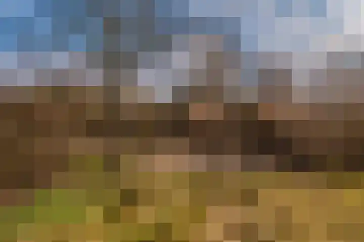 Rhederweg 198 Bellingwolde thumbnail 39