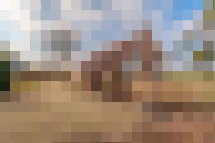 Rhederweg 198 Bellingwolde thumbnail 4