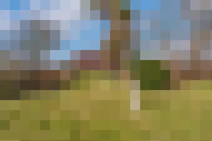 Rhederweg 198 Bellingwolde thumbnail 42